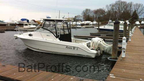 Wellcraft 250 Coastal tekniska specifikationer och recensioner